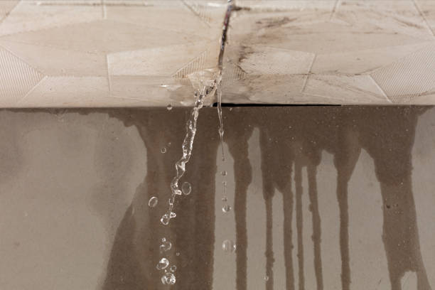 Professional Flood Damage Cleanup technician working in North Star, DE